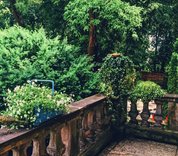 Schöner grüner Garten mit Blumen auf luxuriösem Hinterhof — Stockfoto