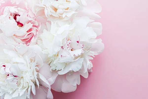 Flores peônias brancas como arte floral em fundo rosa, flatlay casamento e branding luxo — Fotografia de Stock