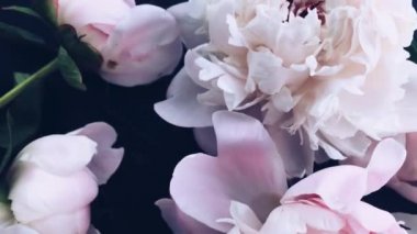 Pastel şakayık çiçekleri bayram, düğün ve çiçeklerle süslenir.