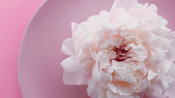 Ajuste de mesa rosa con flores de peonía en plato y cubiertos para una cena de lujo, una boda o una celebración de cumpleaños — Vídeo de stock