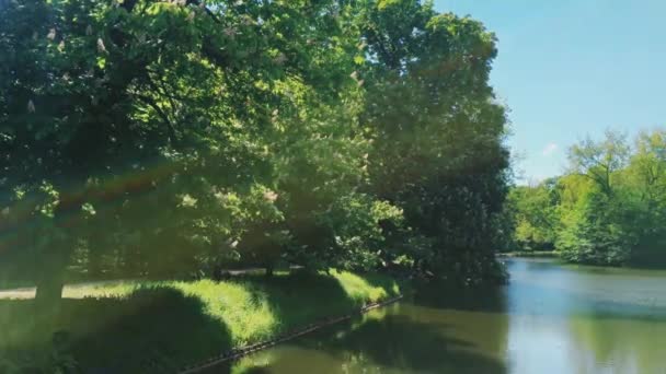 湖の景色、緑の木々や自然、風景や自然環境として青空 — ストック動画