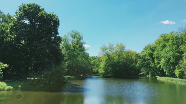 Vue sur le lac, arbres verts et ciel bleu comme nature, paysage et environnement naturel