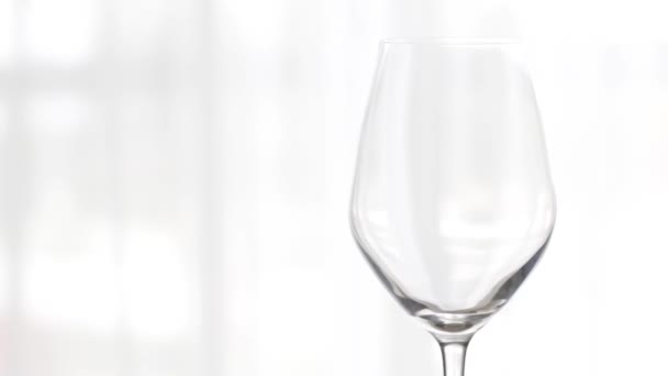 Verre à vin vide à l'intérieur, verre à vin pour boisson de vacances et apéritif, fond pour la marque œnologie et viticulture — Video