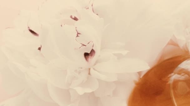 Винтажные духи флакон с пионерскими цветами, шикарный аромат аромат как роскошный косметический, ретро моды и красоты фона продукта — стоковое видео