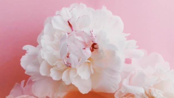 Flacon de parfum d'agrumes avec des fleurs de pivoine, parfum chic comme fond cosmétique de luxe, mode et produit de beauté — Video