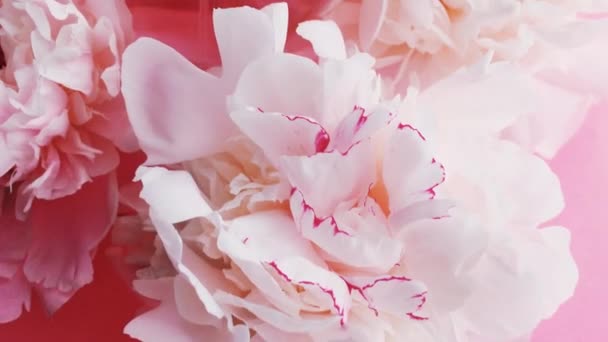 Roze parfumflesje met pioenachtige bloemen, chique geur als luxe cosmetische, mode en beauty product achtergrond — Stockvideo