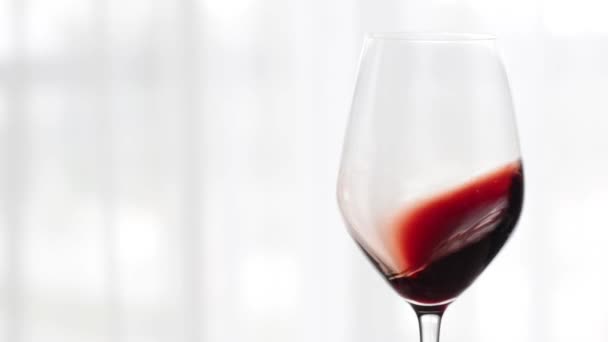 ワインテイスティングイベントで赤ワインのガラス室内,休日のドリンクやワイナリーやブドウ栽培ブランドの背景として食前酒 — ストック動画