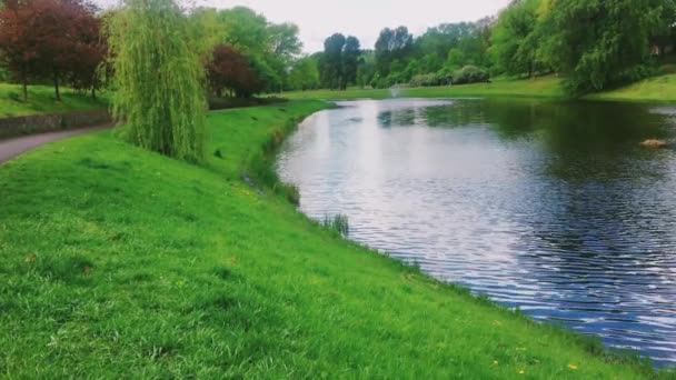 Vue sur le lac, arbres verts et ciel bleu comme nature, paysage et environnement naturel