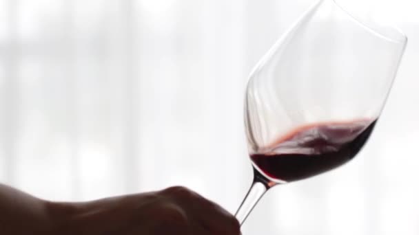 Copa de vino tinto en el interior en el evento de cata de vinos, bebida de vacaciones y aperitivo como fondo para la marca de alcohol y licores — Vídeos de Stock