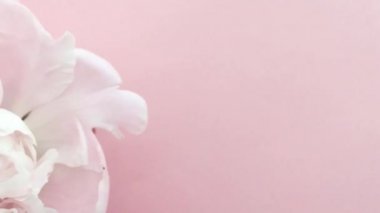 Romantik pembe şakayıklar, çiçekli pastel şakayıklar bayram, düğün ve çiçek arkaplan çiçekleri.