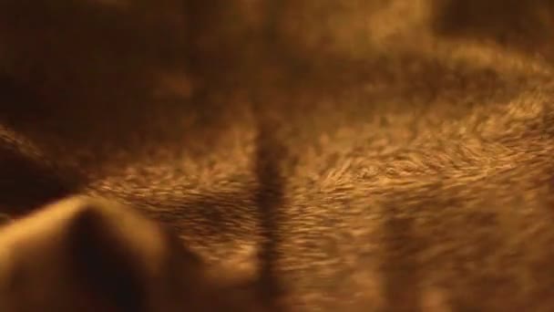 Goldene glänzende Textur in Nahaufnahme für Modemarke als Urlaubsglitzerhintergrund, textile Oberfläche und Luxusmaterial — Stockvideo