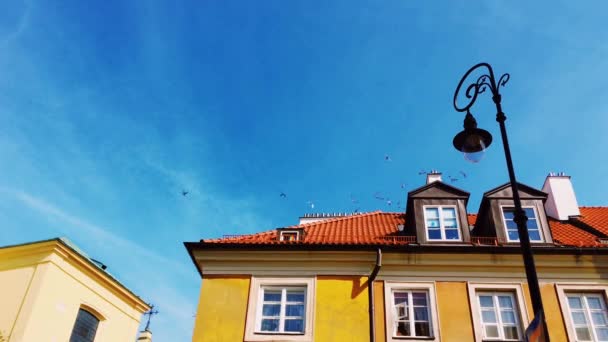 Façade d'un beau bâtiment de style classique dans la vieille ville européenne, l'architecture et l'immobilier — Video