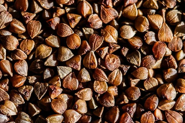 Closeup grão de trigo mourisco, textura de alimentos e fundo livro de cozinha — Fotografia de Stock