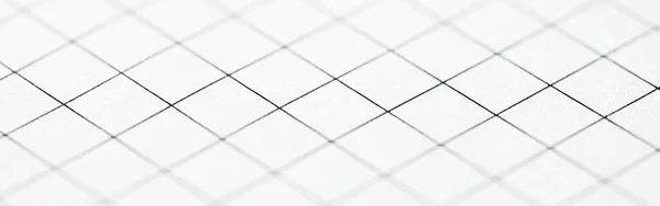 White grid paper texture, back to school background