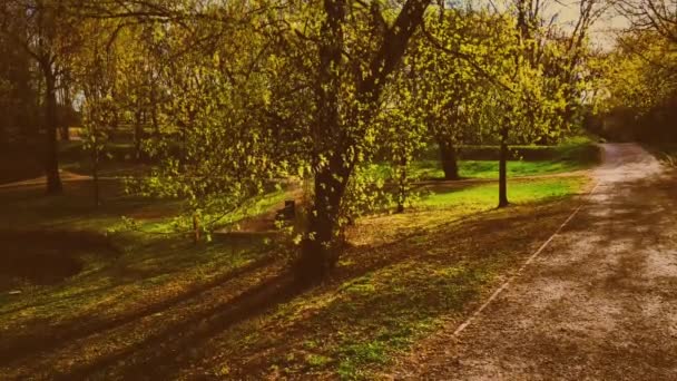 Banco vacío en el parque de otoño, naturaleza de temporada de otoño — Vídeos de Stock