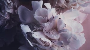 Şakayık çiçekli mor parfüm şişesi lüks kozmetik, moda ve güzellik ürünleri arka planında şık bir koku.