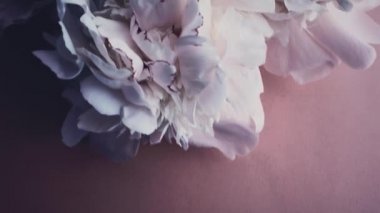 Şakayık çiçekli mor parfüm şişesi lüks kozmetik, moda ve güzellik ürünleri arka planında şık bir koku.