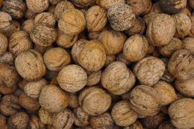 ceviz, çok sayıda fotoğrafı