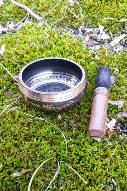 Tibet Şarkı Kasesi yosunların üzerinde yatıyor