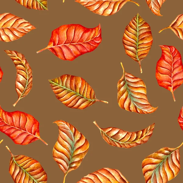 Sada Akvarel Podzimní Listí Vzor Bezešvé — Stock fotografie