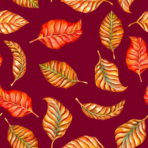 Akvarell Őszi Levelek Zökkenőmentes Minta Szett — Stock Fotó