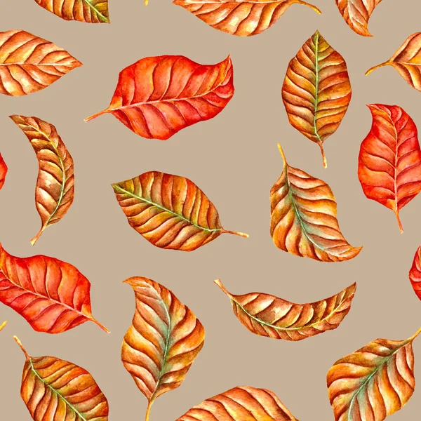 Набор Акварельных Осенних Листьев Бесшовный Узор — стоковое фото