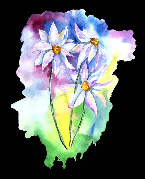 Painted flowers on a watercolor background. Watercolor stain.