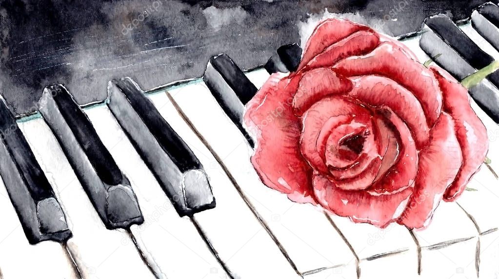 Red rose on the piano. Watercolor flower. Painted rose.