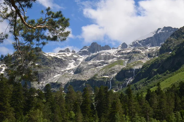 Çam ve orman ön planda karlı dağlar üzerinde bulut