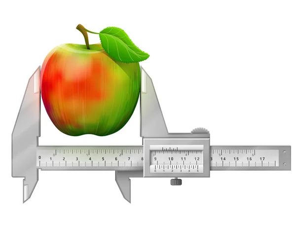 Poziomy Zacisk Mierzy Owoce Jabłka Koncepcja Jabłka Liściem Narzędziem Pomiarowym — Wektor stockowy
