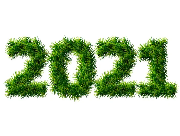 New Year 2021 Christmas Tree Branches Isolated White Empty Pine — Stock Vector