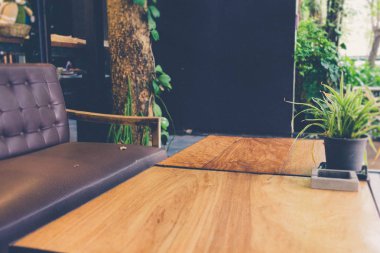 Tahta masadaki tencerede kaktüs var..