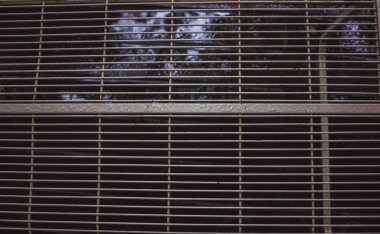 gri, hala üzerinde bir de ekleri