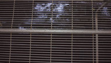 gri, hala üzerinde bir de ekleri