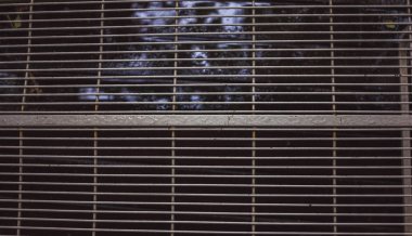 gri, hala üzerinde bir de ekleri