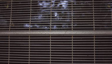 gri, hala üzerinde bir de ekleri