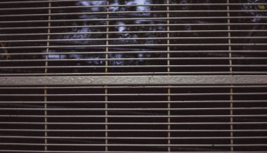 gri, hala üzerinde bir de ekleri