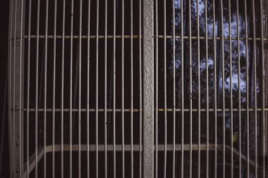 gri, hala üzerinde bir de ekleri