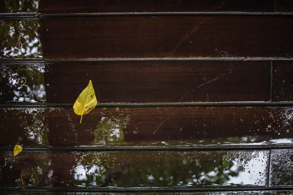 Woda i żółte liście odbijają się na drewnianej podłodze po deszczu — Zdjęcie stockowe