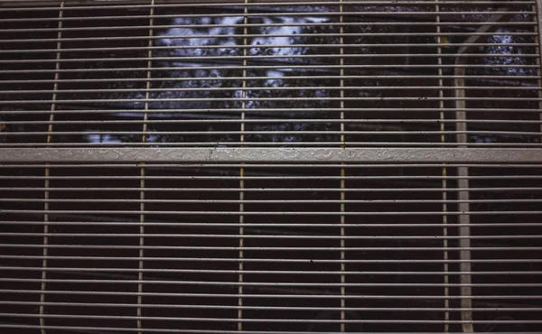 gri, hala üzerinde bir de ekleri