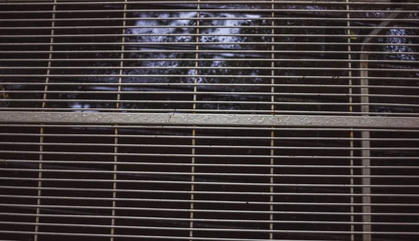 gri, hala üzerinde bir de ekleri