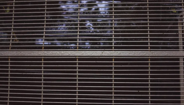 gri, hala üzerinde bir de ekleri