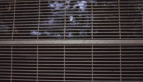 gri, hala üzerinde bir de ekleri