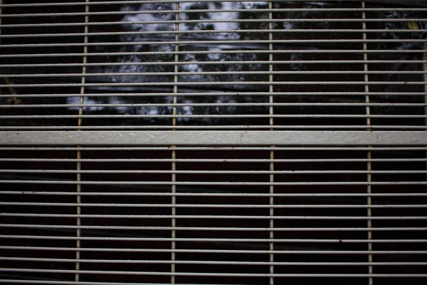 gri, hala üzerinde bir de ekleri