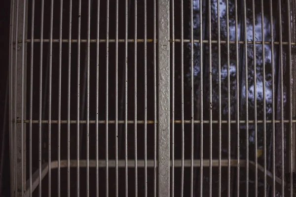 gri, hala üzerinde bir de ekleri