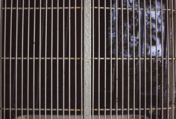 gri, hala üzerinde bir de ekleri