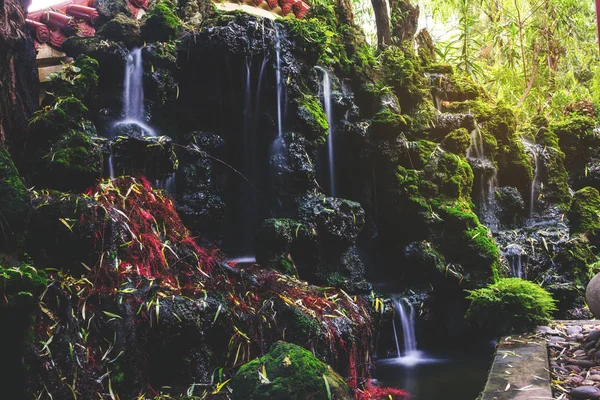 Красота мхов и скал на водопадах в природе — стоковое фото