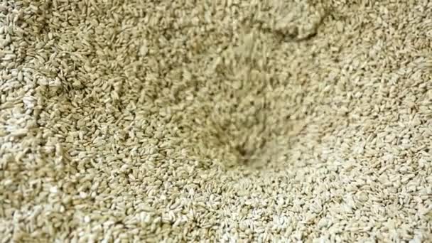 Uma tigela cheia de grãos de sementes de girassol, o vácuo suga-los para dentro no meio . — Vídeo de Stock