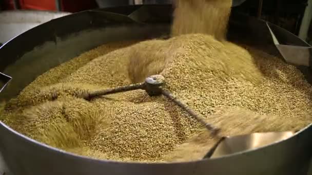 Los granos fritos de semillas de girasol se vierten en el tambor para enfriar. Producción de semillas. En un archivo hay muchos marcos de este proceso en diferentes tamaños . — Vídeo de stock