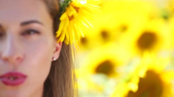 Refocus mit dem halben Porträt des Mädchens auf den Sonnenblumen. Frau isst Sonnenblumenkerne. — Stockvideo